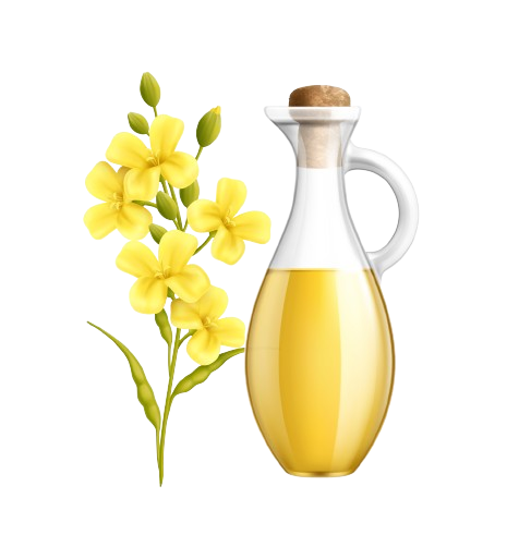 Best Cold Pressed Oil