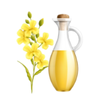 Musturd oil